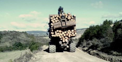 Curiosa estampa del autocargador desemboscando madera gruesa. 2013