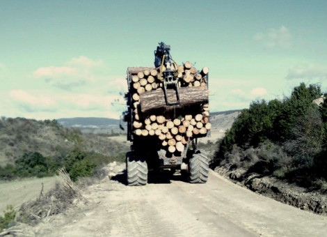 Curiosa estampa del autocargador desemboscando madera gruesa. 2013