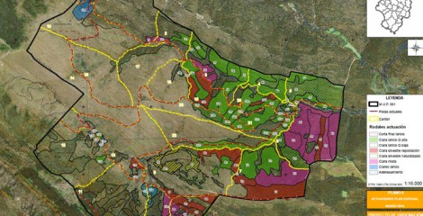 Detalle de cartografía en ordenación forestal