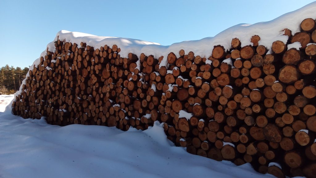 Pilas de madera aprovechamiento