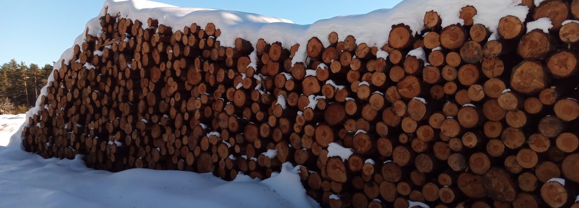 Pilas de madera aprovechamiento